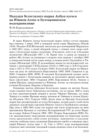 Находки белоглазого нырка Aythya nyroca на Южном Алтае и Бухтарминском водохранилище