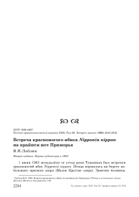 Встреча красноногого ибиса Nipponia nippon на крайнем юге Приморья