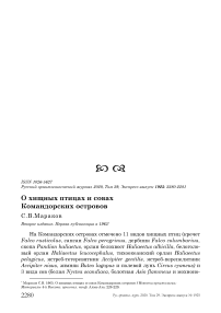 О хищных птицах и совах Командорских островов