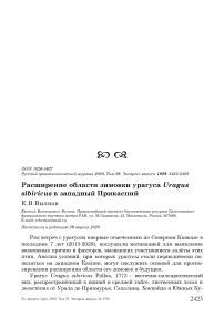 Расширение области зимовки урагуса Uragus sibiricus в Западный Прикаспий