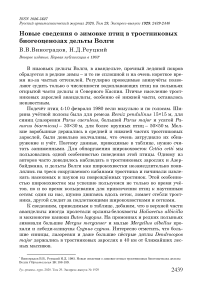 Новые сведения о зимовке птиц в тростниковых биогеоценозах дельты Волги