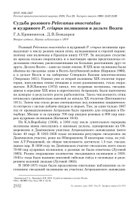 Судьба розового Pelecanus onocrotalus и кудрявого P. crispus пеликанов в дельте Волги