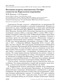 Весенняя встреча синехвостки Tarsiger cyanurus на Карельском перешейке