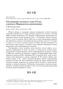 Гнездование полевого луня Circus cyaneus в Мордовском заповеднике