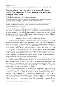 Сроки прилёта птиц на северном побережье озера Сасыкколь в Алакольском заповеднике в марте 2020 года