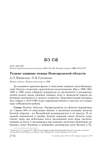 Редкие хищные птицы Новгородской области