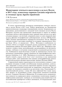 Мониторинг птичьего населения в дельте Волги в 2017 году, азиатская саранча Locusta migratoria и степные орлы Aquila nipalensis