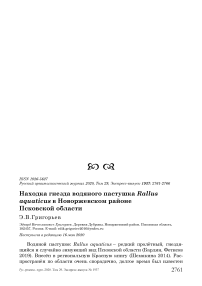 Находка гнезда водяного пастушка Rallus aquaticus в Новоржевском районе Псковской области