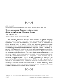 О гнездовании бородатой неясыти Strix nebulosa на Южном Алтае