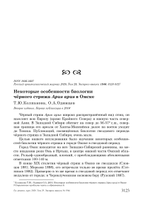 Некоторые особенности биологии чёрного стрижа Apus apus в Омске