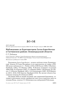 Наблюдения за бургомистром Larus hyperboreus в Гатчинском районе Ленинградской области