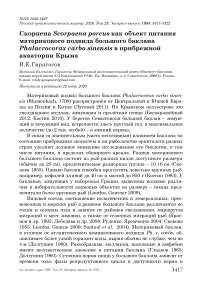 Скорпена Scorpaena porcus как объект питания материкового подвида большого баклана Phalacrocorax carbo Sinensis в прибрежной акватории Крыма