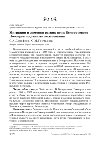 Миграции и зимовки редких птиц Белорусского Поозерья по данным кольцевания