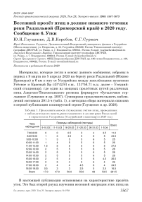 Весенний пролёт птиц в долине нижнего течения реки Раздольной (Приморский край) в 2020 году. Сообщение 6. Утки