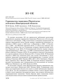 Горихвостка чернушка Phoenicurus ochruros в Новгородской области