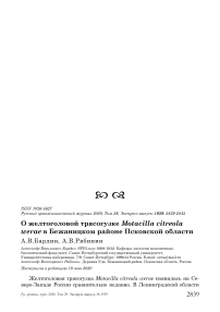 О желтоголовой трясогузке Motacilla citreola Werae в Бежаницком районе Псковской области