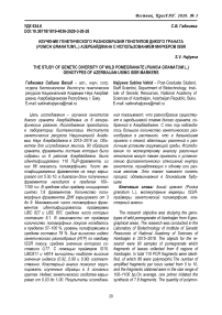 Изучение генетического разнообразия генотипов дикого граната (Punica granatum L.) Азербайджана с использованием маркеров ISSR