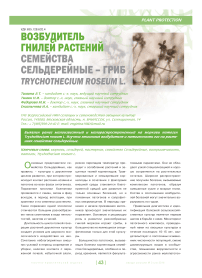 Возбудитель гнилей растений семейства сельдерейные гриб trychothecium roseum l