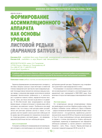 Формирование ассимиляционного аппарата как основы урожая листовой редьки (raphanussativus L.)