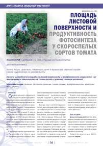 Площадь листовой поверхности и продуктивность фотосинтеза у скороспелых сортов томата