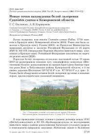 Новые точки нахождения белой лазоревки Cyanistes cyanus в Кемеровской области