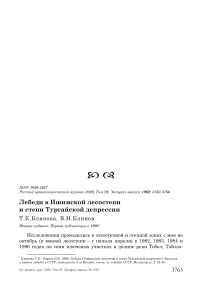 Лебеди в Ишимской лесостепи и степи Тургайской депрессии