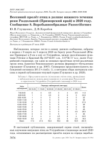 Весенний пролёт птиц в долине нижнего течения реки Раздольной (Приморский край) в 2020 году. Сообщение 8. Воробьинообразные Passeriformes