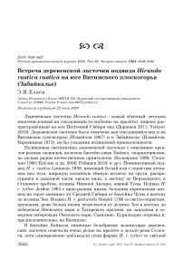 Встреча деревенской ласточки подвида Hirundo rustica rustica на юге Витимского плоскогорья (Забайкалье)