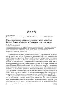 О расширении ареала черногрудого воробья Passer hispaniolensis в Ставропольском крае