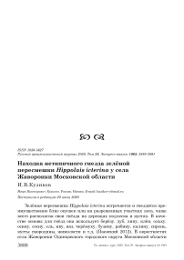 Находка нетипичного гнезда зелёной пересмешки Hippolais icterina у села жаворонки Московской области