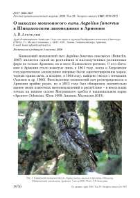 О находке мохноногого сыча Aegolius funereus в Шикахохском заповеднике в Армении