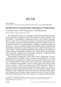 Особенности гнездования врановых в Череповце