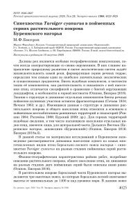 Синехвостка Tarsiger cyanurus в пойменных сериях растительного покрова Буреинского нагорья