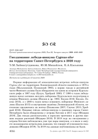 Гнездование лебедя-шипуна Cygnus olor на территории Санкт-Петербурга в 2020 году