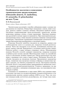 Особенности экологии и поведения симпатических видов каменок (Oenanthe deserti, O. isabellina, O. oenanthe, O. pleschanka) на юге Тувы