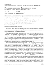 Гнездящиеся птицы Приморского края: большая выпь Botaurus stellaris