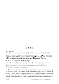 Новая находка белоглазого нырка Aythya nyroca в Бухтарминской долине на Южном Алтае