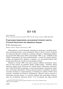 К распространению дальневосточного аиста Ciconia boyciana на Нижнем Амуре