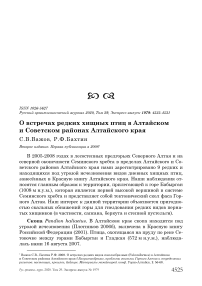 О встречах редких хищных птиц в Алтайском и Советском районах Алтайского края