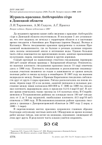 Журавль-красавка Anthropoides virgo в Донецкой области