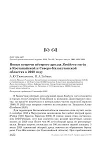 Новые встречи пёстрого дрозда Zoothera varia в Костанайской и Северо-Казахстанской областях в 2020 году