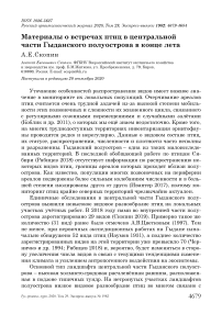 Материалы о встречах птиц в центральной части Гыданского полуострова в конце лета