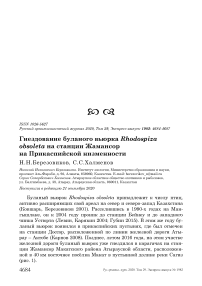 Гнездование буланого вьюрка Rhodospiza obsoleta на станции Жамансор на Прикаспийской низменности