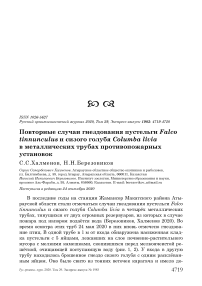 Повторные случаи гнездования пустельги Falco tinnunculus и сизого голубя Columba livia в металлических трубах противопожарных установок