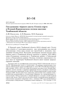 Гнездование чёрного аиста Ciconia nigra в Иловай-Воронежском лесном массиве Тамбовской области