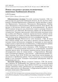 Новые сведения о редких позвоночных животных Тамбовской области