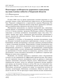 Некоторые особенности кормового поведения жулана Lanius collurio в Тверской области