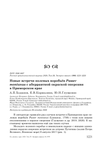 Новые встречи полевых воробьёв Passer montanus с аберрантной окраской оперения в Приморском крае