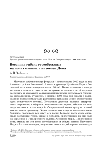 Весенняя гибель гусеобразных на полях озимых в низовьях Дона