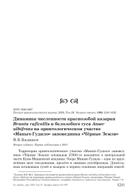 Динамика численности краснозобой казарки Branta ruficollis и белолобого гуся Anser albifrons на орнитологическом участке "Маныч-Гудило" заповедника "Чёрные земли"